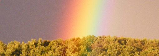 Regenbogen