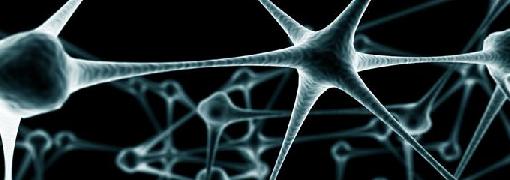 Neuronennetz