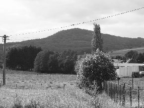 Blick auf den Weiselberg - von der Ortmitte in Haupersweiler aus