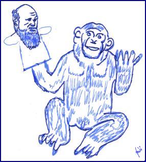 Charles Darwin - The Origin Of Species